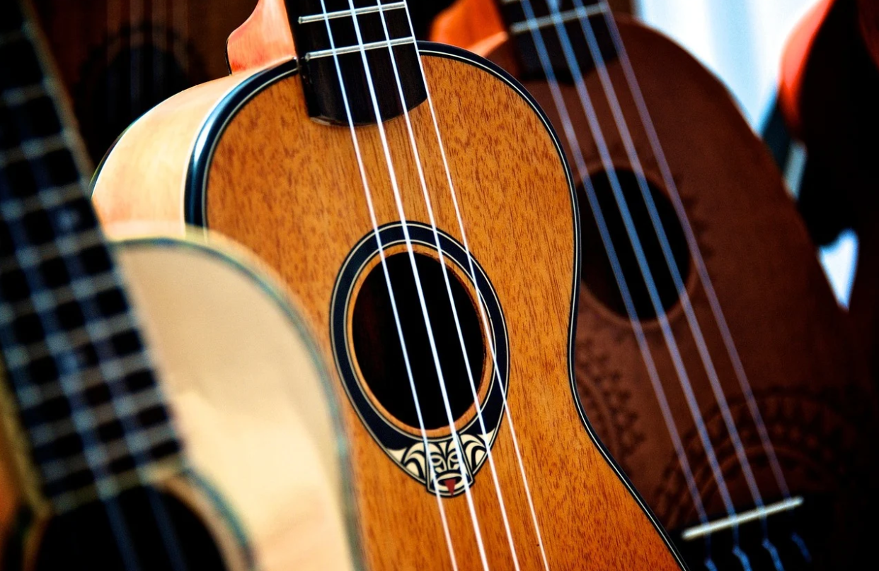 musical instrument